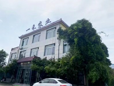 China Shandong Yihe Agricultural Technology Co., Ltd. Perfil da companhia