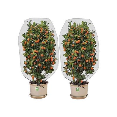 Agropecuária HDPE Plastic Anti-Insect Mesh Insect Proof Net para cobrir árvores de frutas Proteção de malha Saco Controle eficaz de pragas