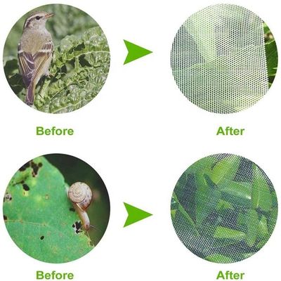 Agropecuária HDPE Plastic Anti-Insect Mesh Insect Proof Net para cobrir árvores de frutas Proteção de malha Saco Controle eficaz de pragas