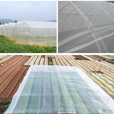 Rede translúcida de repelência de insetos 20x10 Rede anti-afídeos para agricultura e sombreamento