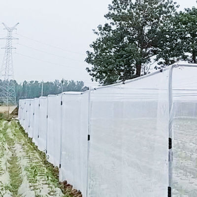 PE Agricultura Rede de malha de insetos de polietileno para árvores e hortas 20 Malha Anti-Insecto
