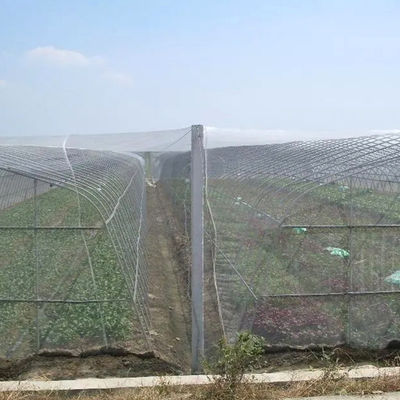PE Agricultura Rede de malha de insetos de polietileno para árvores e hortas 20 Malha Anti-Insecto