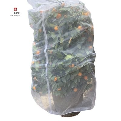 Coberturas de árvores frutíferas com plástico de tipo HDPE de rede anti-insectos