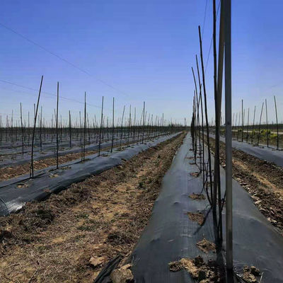 Jardim Agrícola Negro Anti-Erva Tecido Barreira de Ervas daninhas Mochila Controle de Mulch Ferramenta de tecido PORTABLE