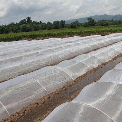 Rede de insetos anti-UV de HDPE Solução ideal para proteção de árvores frutíferas