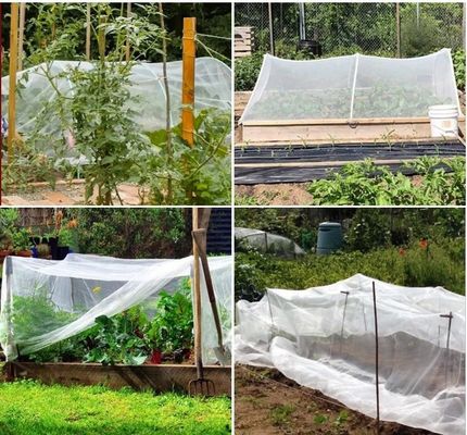Rede de insetos anti-UV de HDPE Solução ideal para proteção de árvores frutíferas