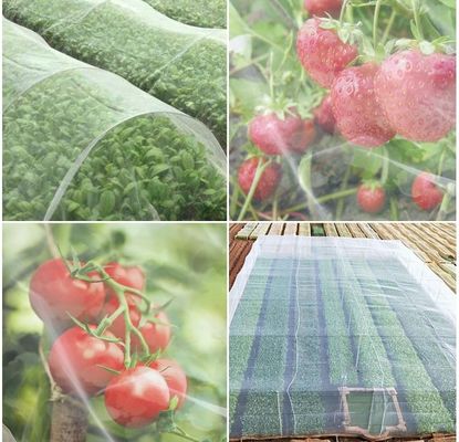 Rede de insetos anti-UV de HDPE Solução ideal para proteção de árvores frutíferas