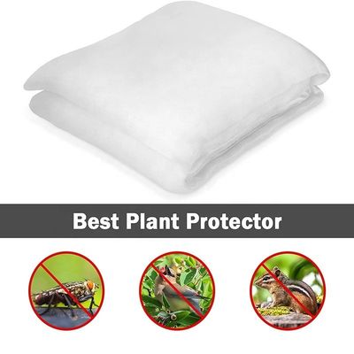 Sustentável 40 60 80 malha Anti Insecto Screen Net Estufas Agri Tomate Proteger Insecto Proof Mesh Transparente Anti Aphid Net
