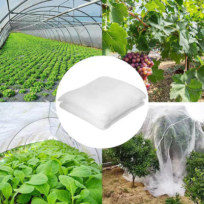 40 80 malha Rede de Proteção contra Insetos Estufa Agrícola Tomate Proteção contra Insetos Malha Transparente Rede Anti-Afida TRAPS
