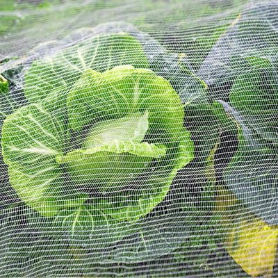 TRAPS Rede de jardim de plástico para plantas Barreira contra pragas Mosca, inseto, pássaro Ecrãs à prova de insetos Protegem frutas Flores Vegetais