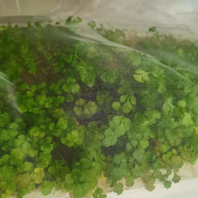 TRAPS Rede de jardim de plástico para plantas Barreira contra pragas Mosca, inseto, pássaro Ecrãs à prova de insetos Protegem frutas Flores Vegetais