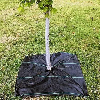 Proteção PP Membrana tecida PE cobertura de solo malha de ervas daninhas rol Anti-ervas daninhas Mulch Film