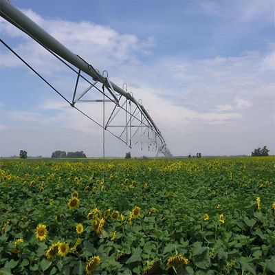 Fornecimento direto de milho Centro de agricultura em larga escala Sistemas de máquinas de irrigação pivot com 168 cm de diâmetro e Ha no restaurante