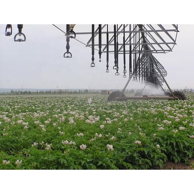 DYP Equipamento de Máquinas Agrícolas Big Gun Center Pivot Sprinkler A solução definitiva para a eficiência da irrigação agrícola