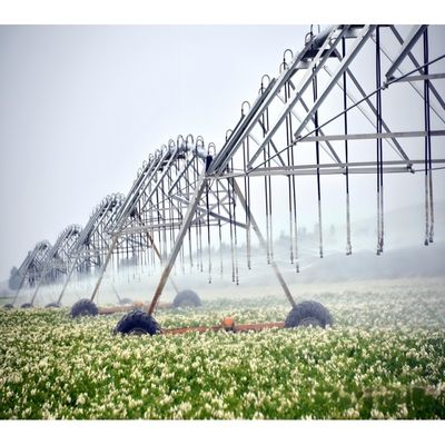2000 KG Equipamento de Máquinas Agrícolas Bomba-Motor-Engrenagem Linear Move Side Roll Sistema de Irrigação para Requisitos do Cliente