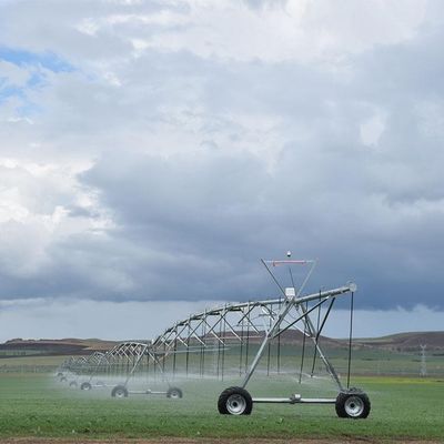 Sucesso agrícola a longo prazo com o nosso sistema de pivô central de 30 polegadas de diâmetro Distribuição precisa de água e construção robusta