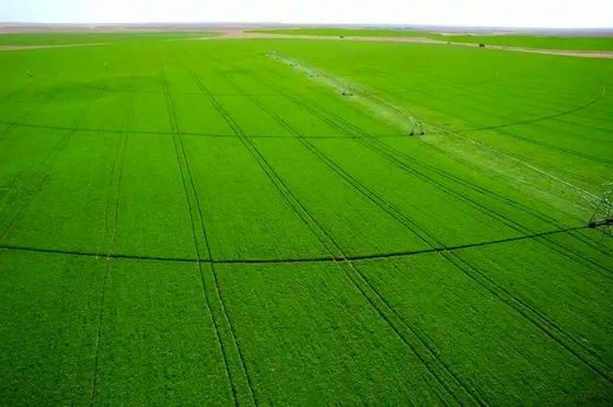 Sucesso agrícola a longo prazo com o nosso sistema de pivô central de 30 polegadas de diâmetro Distribuição precisa de água e construção robusta