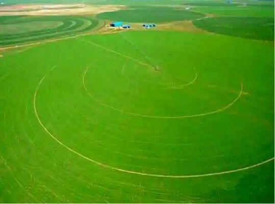Centro Revolucionário Pivot 30 polegadas de diâmetro ampla cobertura e operação ecológica consciente para irrigação agrícola