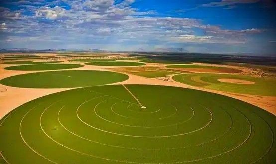 Crescimento óptimo das culturas com solução de pivô central Estrutura robusta e monitoramento remoto