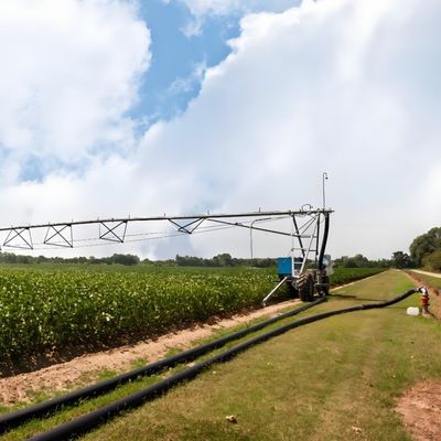 2025 Sistema de irrigação de explorações agrícolas de dupla roda em movimento linear para agricultura e plantação de algodão