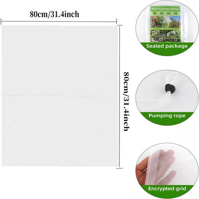 Saco de rede de malha de nylon de 6*9 polegadas para proteção de plantas e frutas do jardim Diga adeus aos pesticidas nocivos