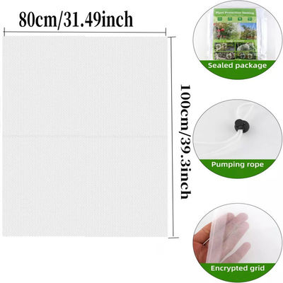 Saco de rede de malha de nylon de 6*9 polegadas para proteção de plantas e frutas do jardim Diga adeus aos pesticidas nocivos