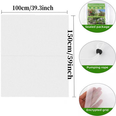 Saco de rede de malha de nylon de 6*9 polegadas para proteção de plantas e frutas do jardim Diga adeus aos pesticidas nocivos