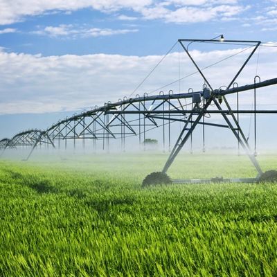 Aumente a produtividade da sua fazenda com o sistema de irrigação de rolos agrícolas.