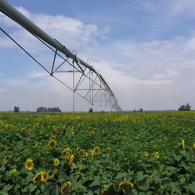 Aumente a produtividade da sua fazenda com o sistema de irrigação de rolos agrícolas.