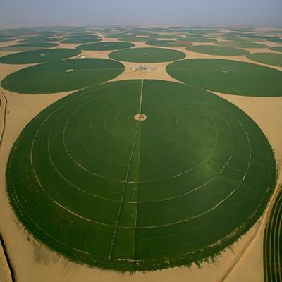 Sistema de irrigação lateral linear para planta de produção de trigo