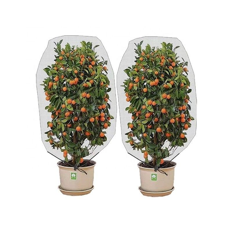 Agropecuária HDPE Plastic Anti-Insect Mesh Insect Proof Net para cobrir árvores de frutas Proteção de malha Saco Controle eficaz de pragas